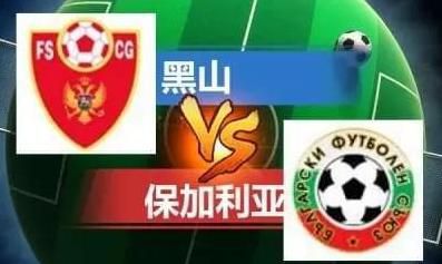 情侣爱爱高清视频