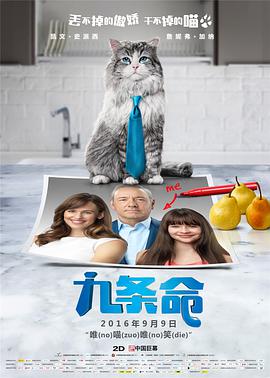 成人高清免费观看mv